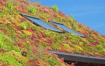 Fenay Bridge living roof systems